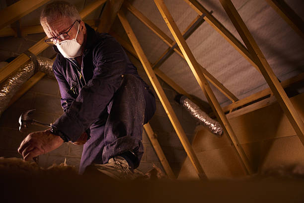 Best Insulation Installation Services in Clarinda, IA