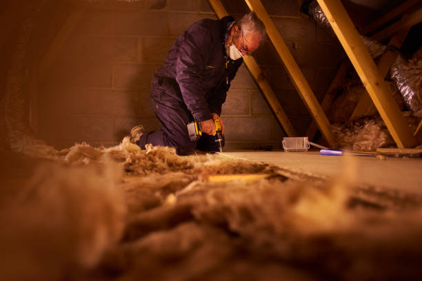 Best Insulation Installation Services in Clarinda, IA